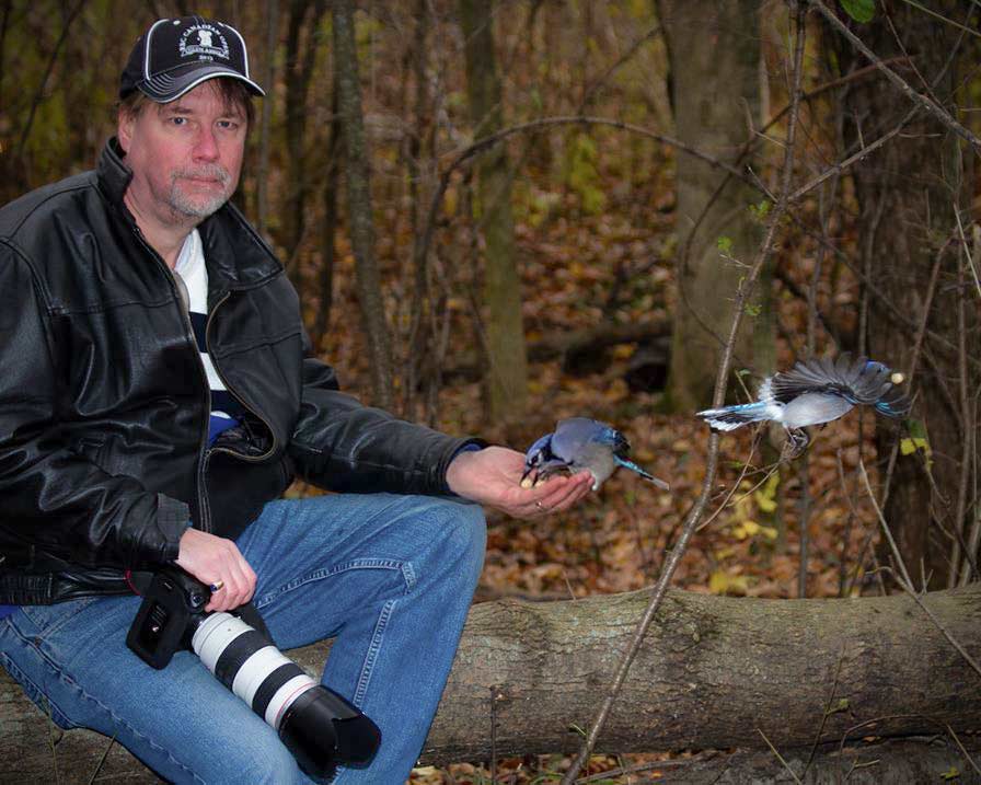 Feeding Blue Jays